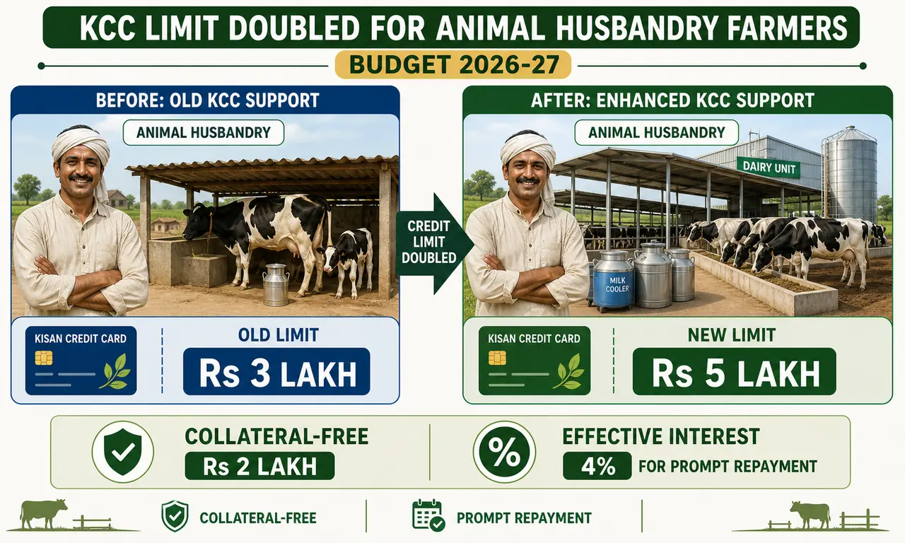 Animal husbandry KCC limit increase from 3 lakh to 5 lakh with collateral-free and prompt repayment highlights