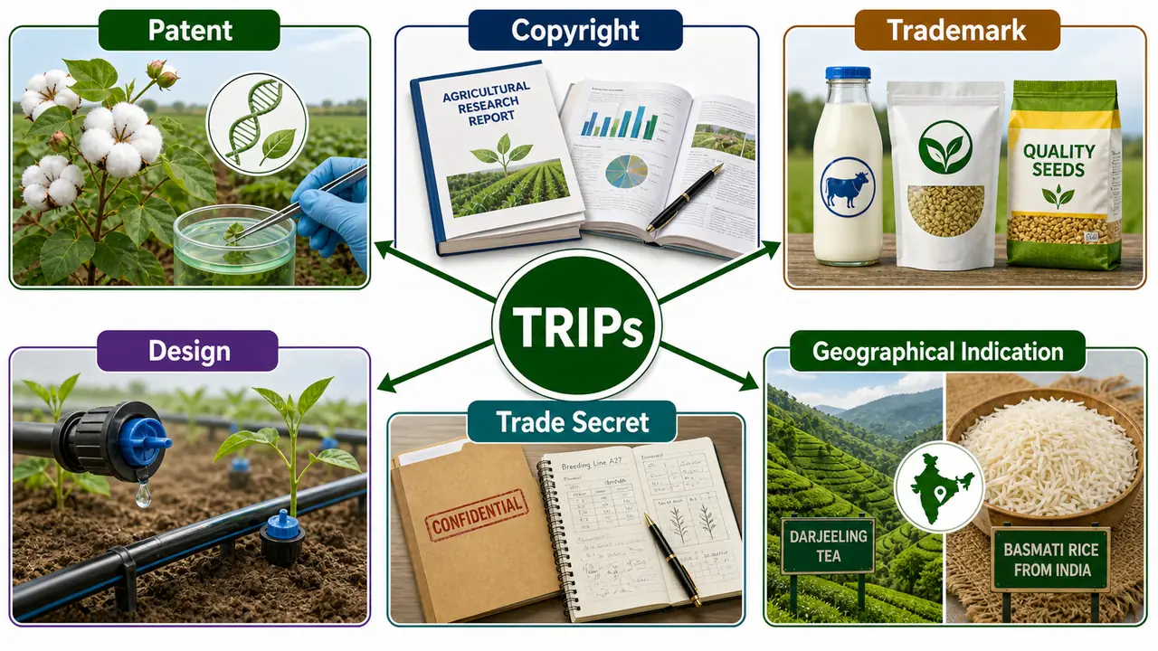 TRIPs six forms of intellectual property rights with agricultural examples