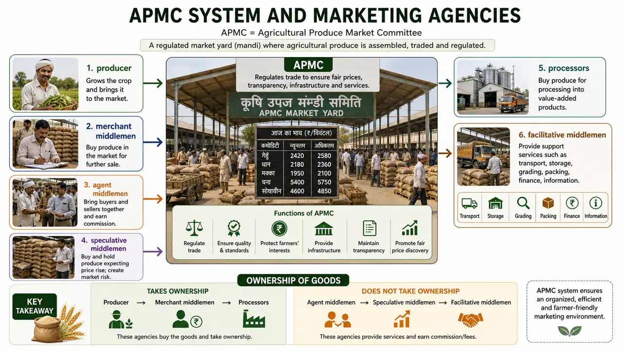 APMC system and marketing agencies showing producers, middlemen, processors, facilitative actors, and ownership distinction