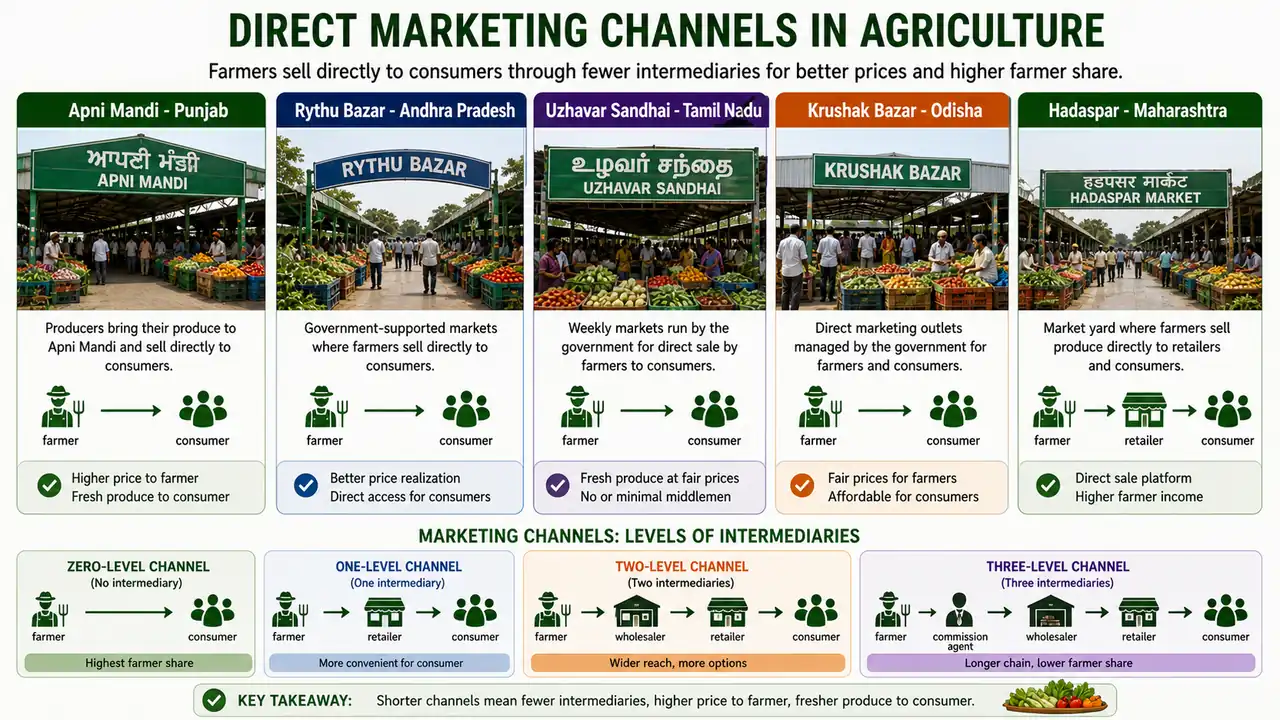 Direct marketing channels in agriculture showing Apni Mandi, Rythu Bazar, Uzhavar Sandhai, Krushak Bazar, Hadaspar, and channel levels
