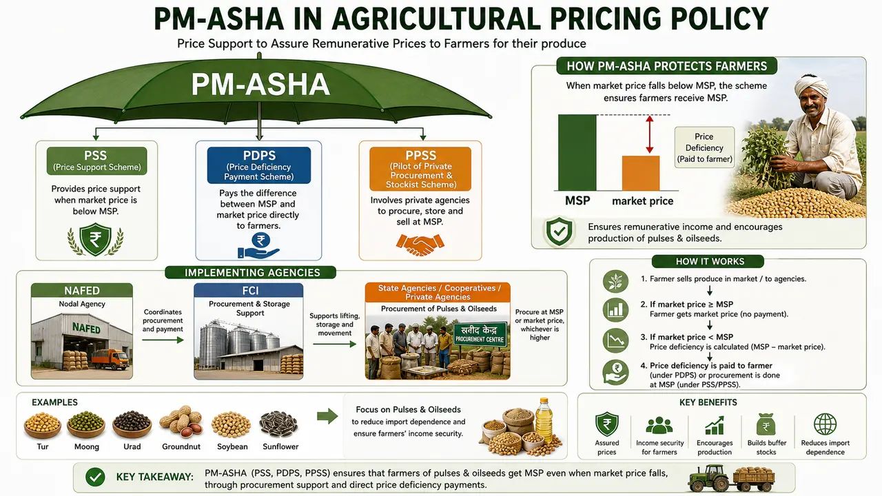 PM-ASHA umbrella showing PSS, PDPS, and PPSS with NAFED, FCI, and market-price support pathways for pulses and oilseeds