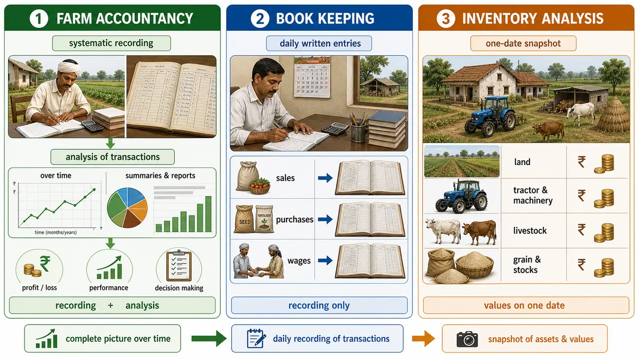 Comparison of farm accountancy, book keeping, and inventory analysis showing recording plus analysis, daily transaction entries, and one-date asset valuation snapshot