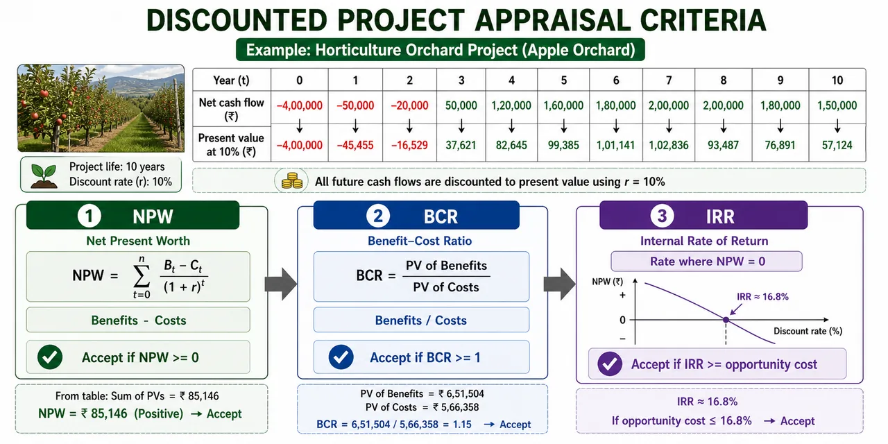 Annotated discounted project appraisal criteria panel showing NPW, BCR, and IRR decision rules