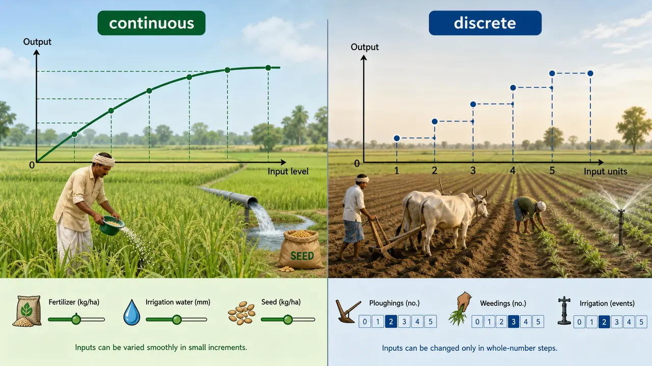 Continuous versus discrete production function inputs in agriculture with smooth and whole-number changes