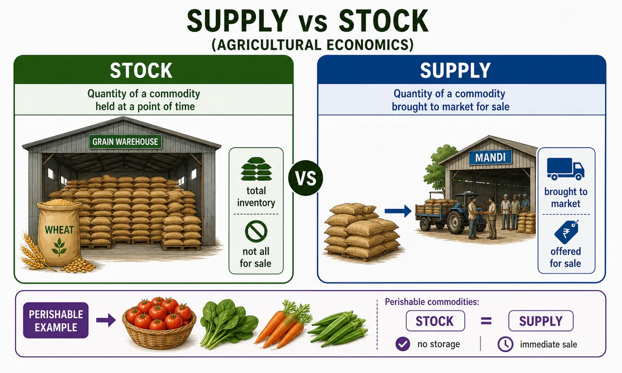 Supply versus stock in agricultural economics showing total grain inventory in storage compared with the portion actually brought to market for sale