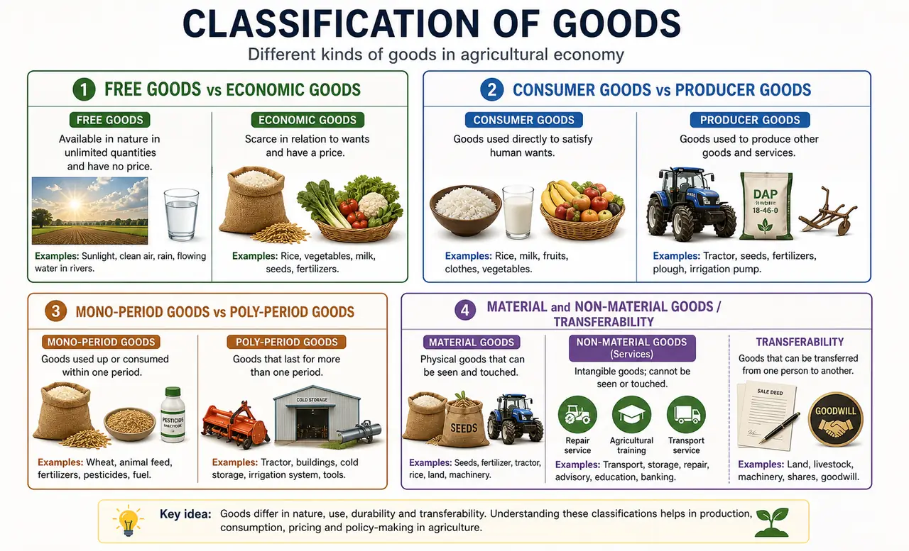 Classification of goods infographic showing free versus economic, consumer versus producer, mono-period versus poly-period, and transferability-based categories with agricultural examples