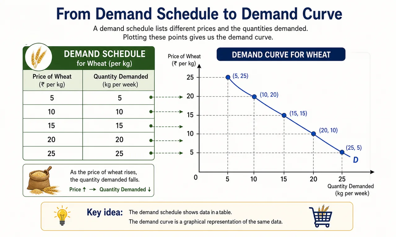 Demand schedule to demand curve visual showing how table values become plotted points on a downward-sloping curve