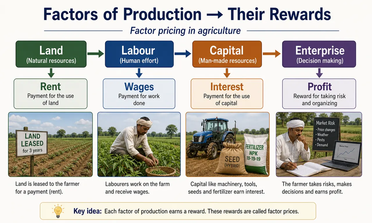 Factor pricing in agriculture showing land to rent, labour to wages, capital to interest, and enterprise to profit