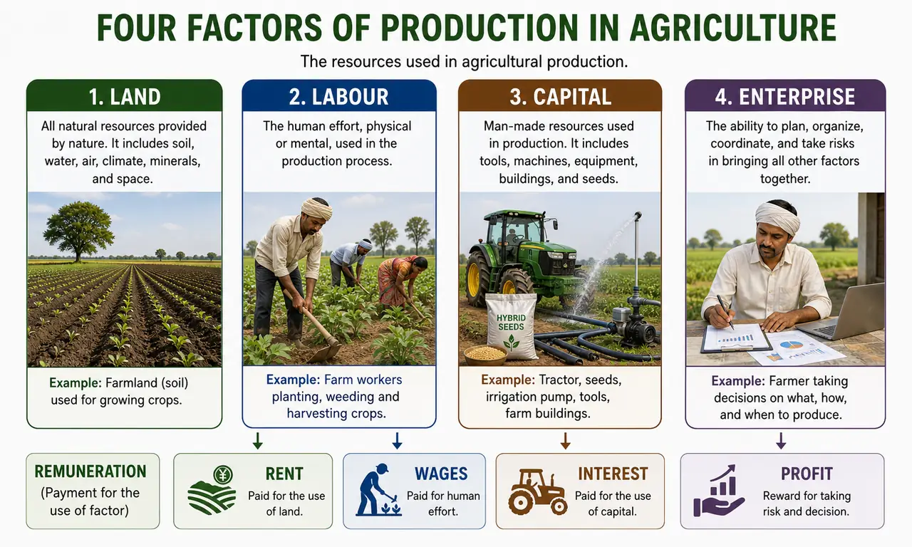 Agricultural factors of production overview showing land, labour, capital, and enterprise with their respective rewards