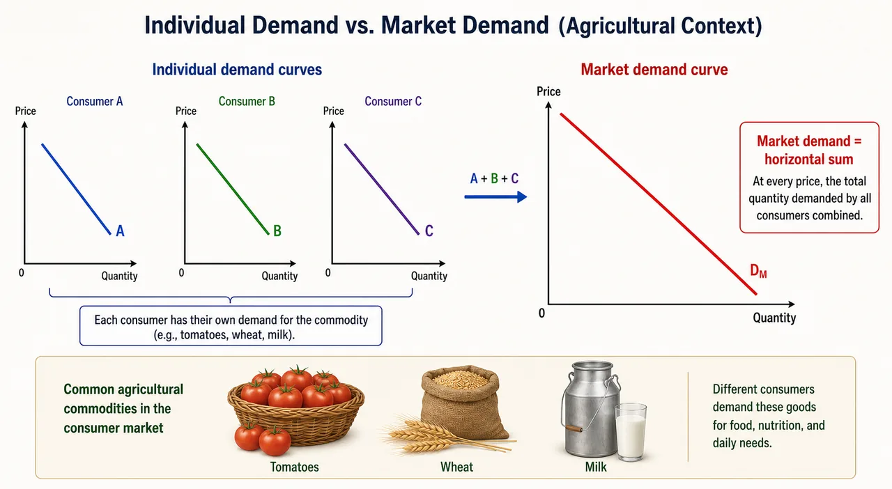 Demand visual showing three individual demand curves and one market demand curve formed by horizontal summation, with commodity context