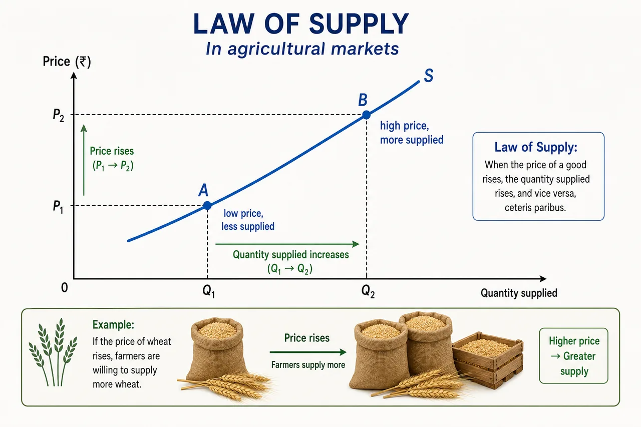 Upward-sloping supply curve showing lower price with lower quantity supplied and higher price with higher quantity supplied, with agricultural market context