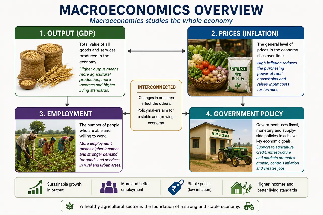 Macroeconomics overview showing GDP, inflation, employment, and government policy with agricultural context
