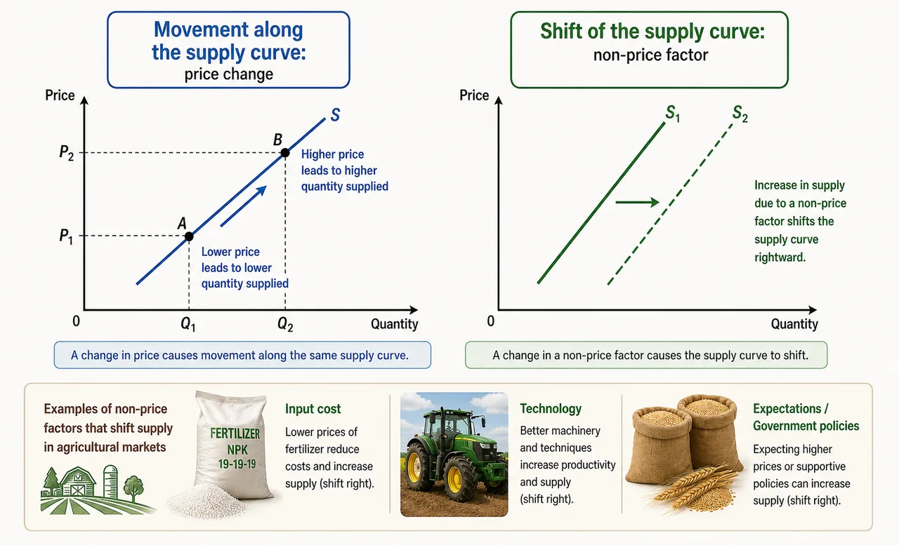 Comparison diagram showing movement along a supply curve due to price change and shift of a supply curve due to non-price factors, with agricultural context