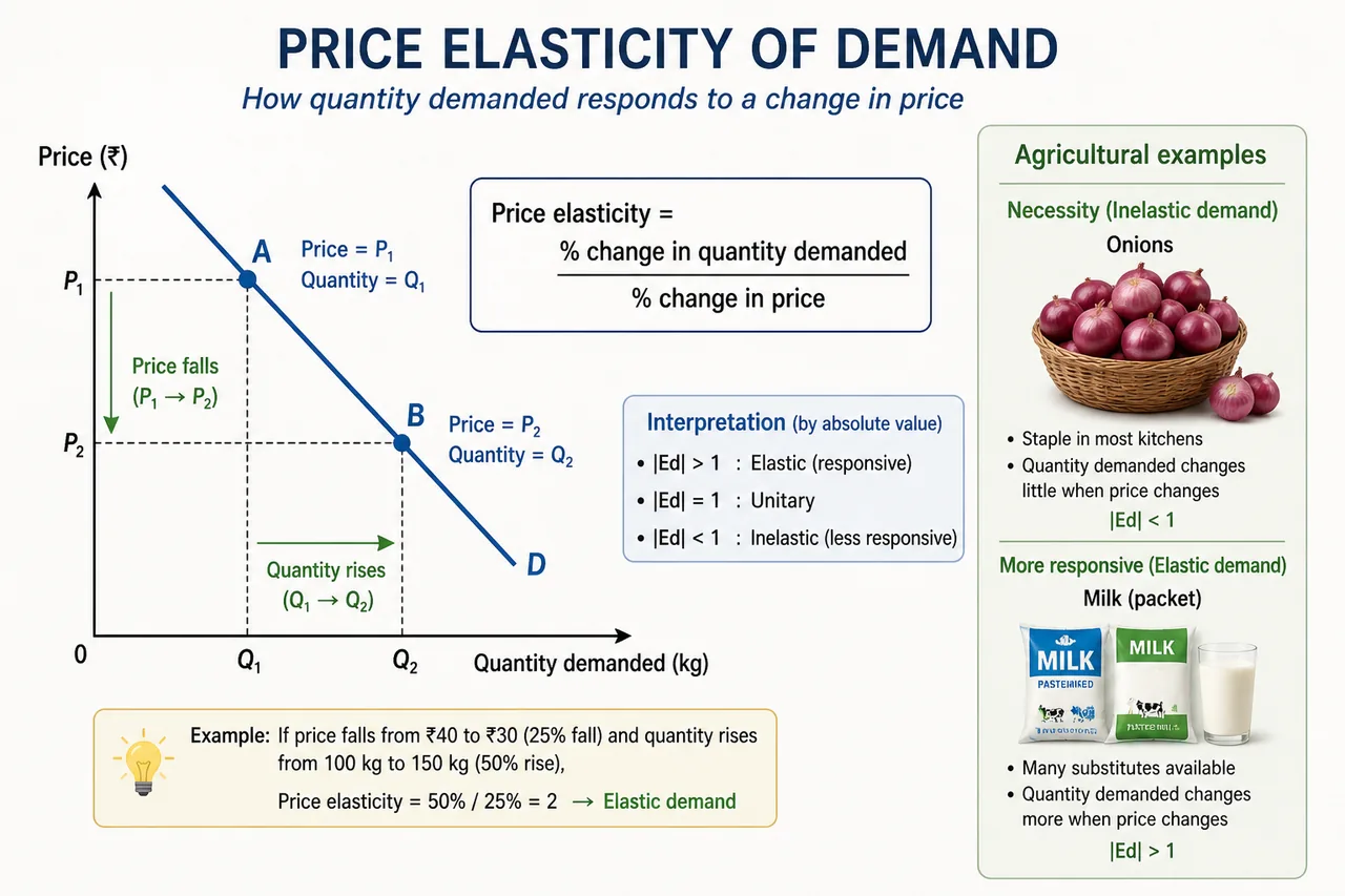 Price elasticity of demand visual combining the elasticity formula, a demand curve, and agricultural commodity context