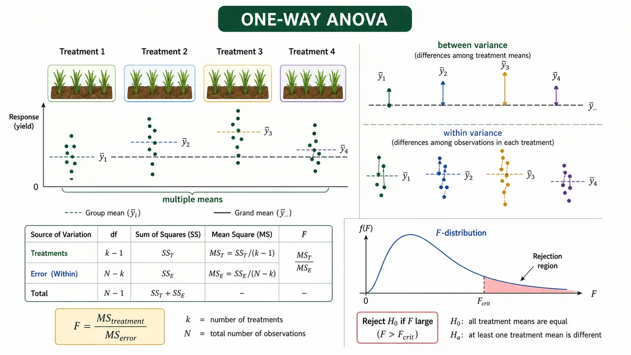 ANOVA concept visual showing between-treatment variance, within-treatment variance, and the F-test comparison for multiple treatment means