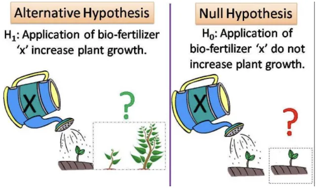 Alternative Hypothesis
