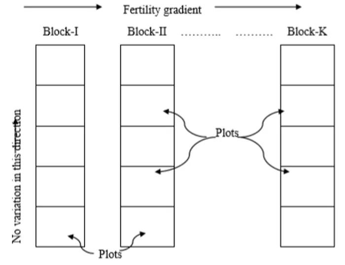 Block design layout