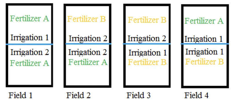 Split plot design layout