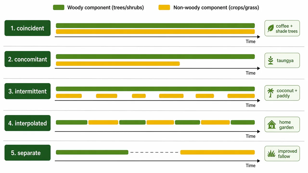 Agroforestry spatial arrangement board comparing dense mixed, sparse mixed, zonal, microzonal, macrozonal, and boundary planting layouts