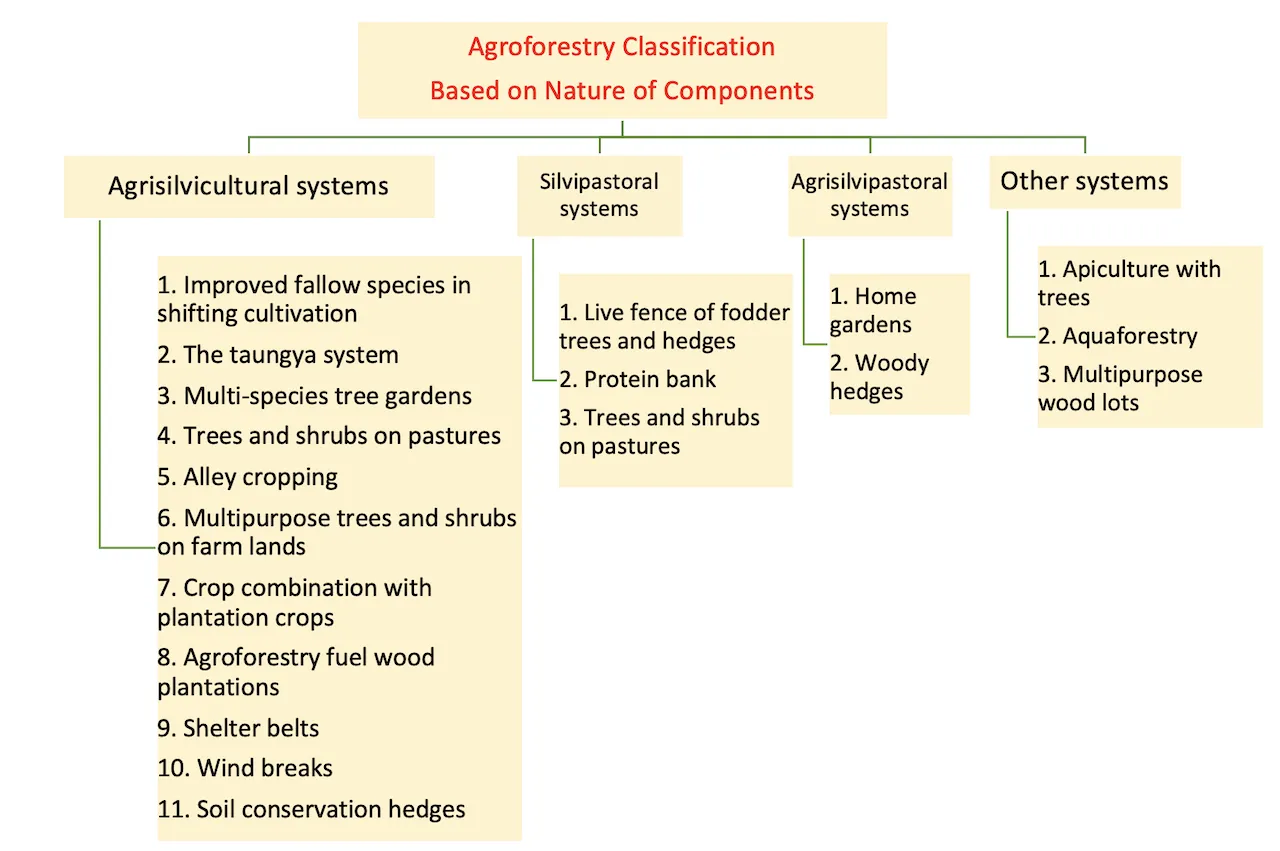 Flowchart showing structural classification of agroforestry systems into agrisilviculture, silvopastoral, and agrosilvopastoral