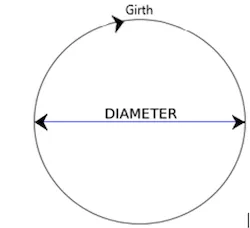 Diagram showing diameter and girth measurement of a tree trunk