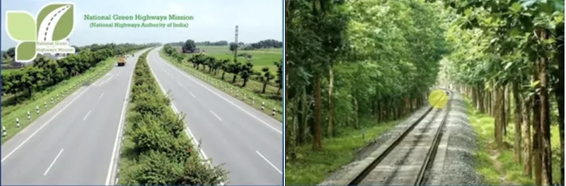 Extension forestry with tree plantations along roads and canals