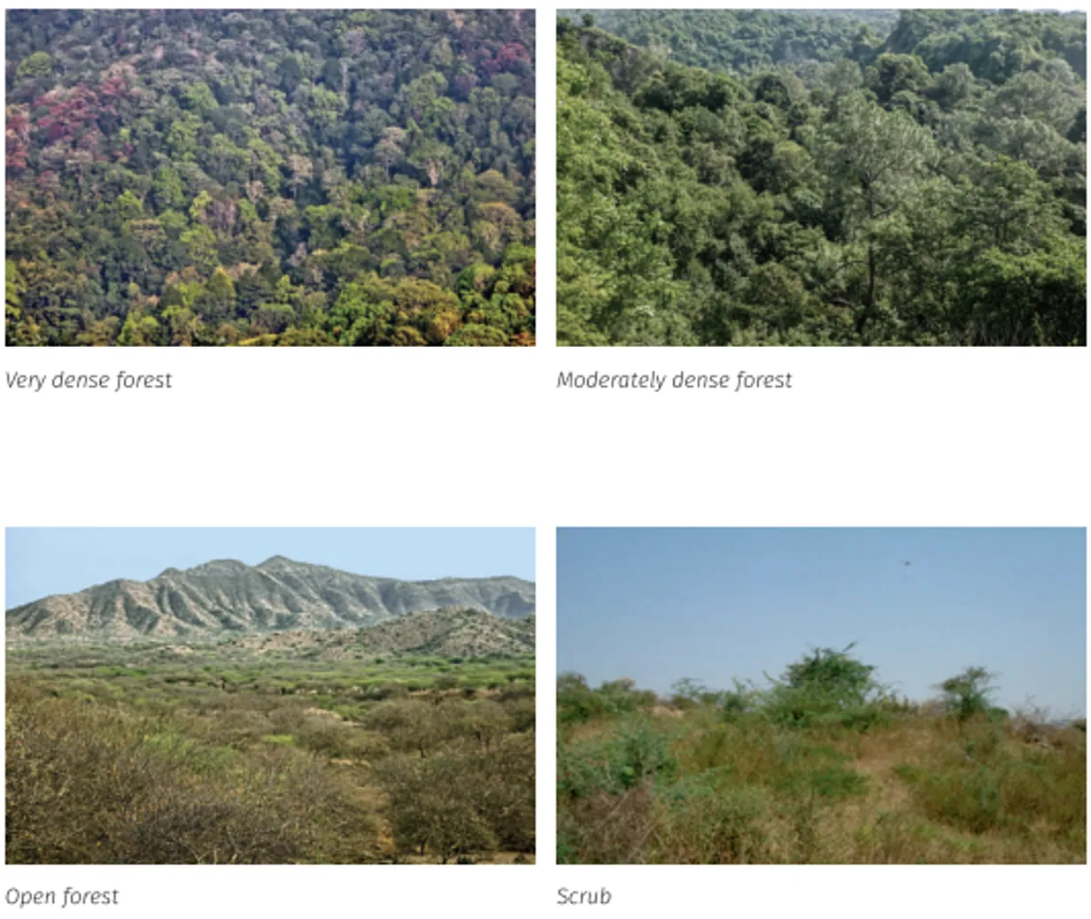 Classification of forest cover by canopy density showing VDF, MDF, OF, and Scrub