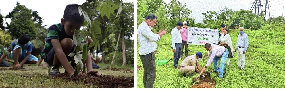 Community participating in social forestry tree planting