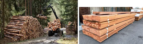 Forest utilization showing timber processing and wood products