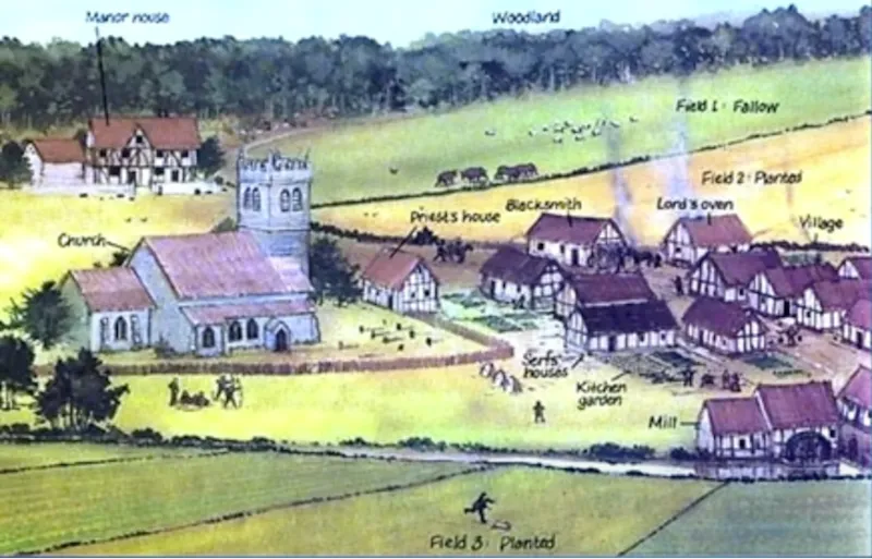 Etymology of the word Forest from Latin foris meaning outside