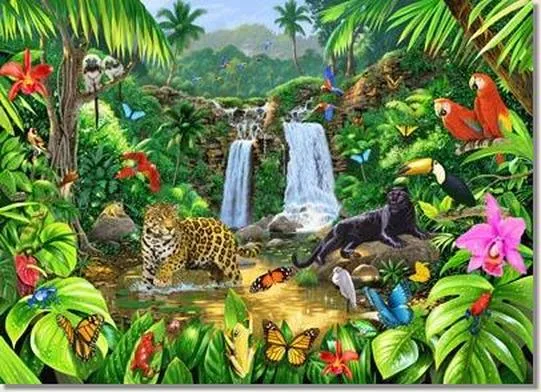 Genetic diversity stored in forest ecosystems