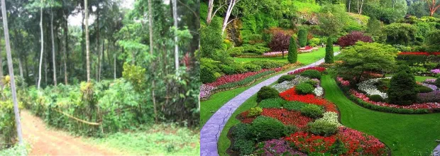 Kerala home garden showing multiple vertical canopy layers with coconut, arecanut, banana, and ground-level crops