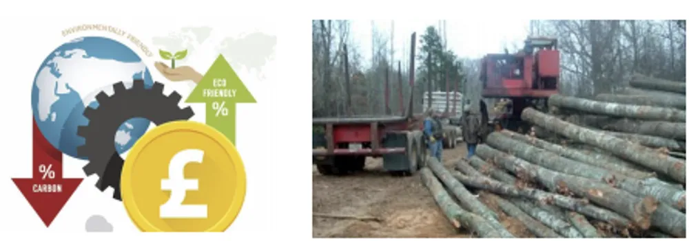 Diagram showing objectives of forest mensuration