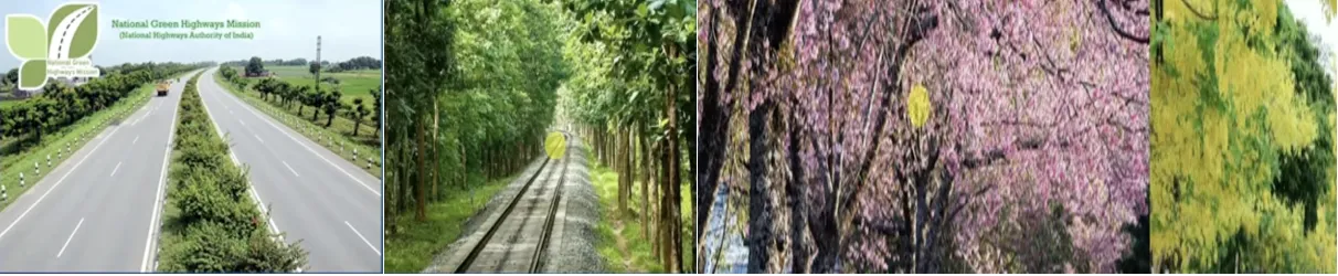 Recreational forest with walking trails and green spaces