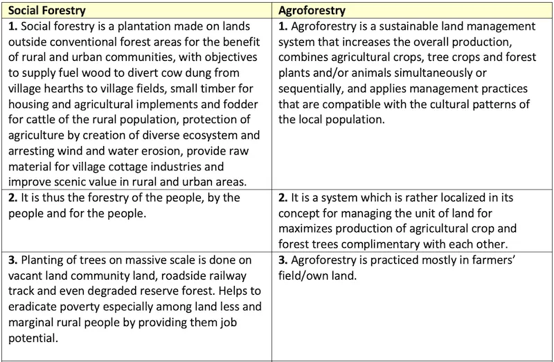 Comparison diagram of agroforestry versus social forestry showing key differences in location, management, and goals