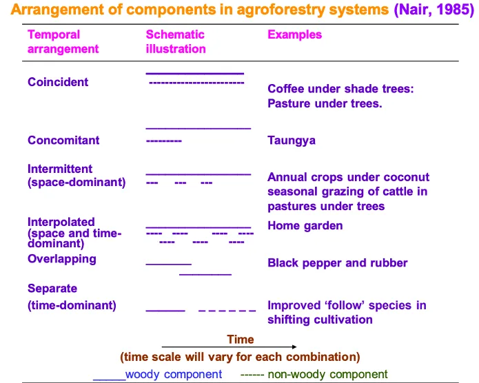 Diagram showing the five types of temporal arrangement in agroforestry -- coincident, concomitant, intermittent, interpolated, and separate