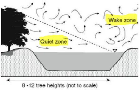 Infographic showing benefits of windbreaks including reduced wind speed, improved microclimate, and livestock protection