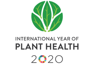 International Year of Plant Health