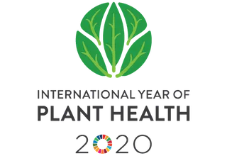International Year of Plant Health