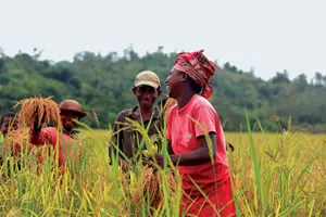 Family farmers working in their field — 86 percent of Indian holdings are small and marginal