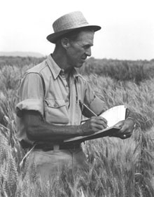 Dr. Nrman Ernest Borlaug