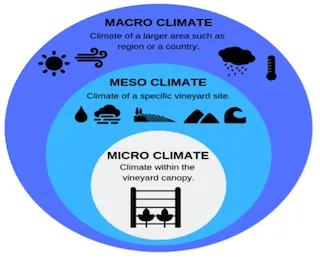 Factors Affecting Climate explained with a practical agricultural meteorology visual