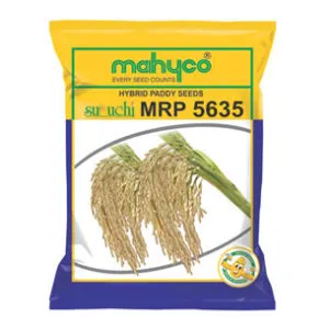 Mahyco seed company products and hybrid seeds