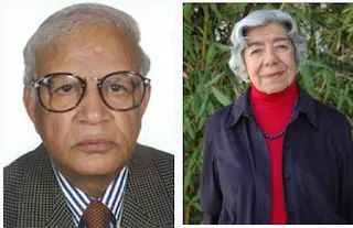 Quality Protein Maize (QPM) ears showing improved protein content