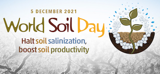 World Soil Day