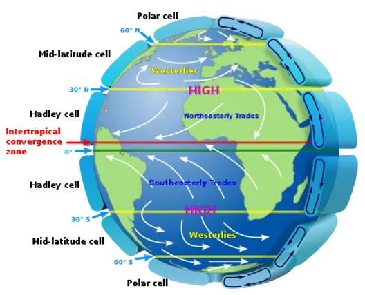 Wind — Air in Motion explained with a practical agricultural meteorology visual