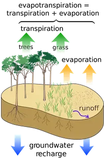 Evapotranspiration concept showing evaporation from soil and transpiration from crops