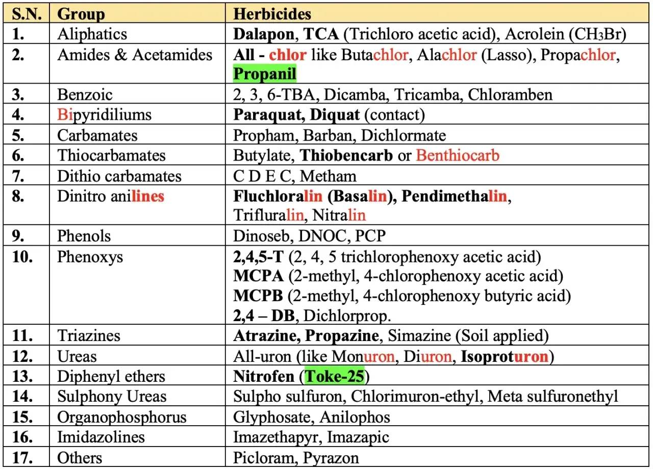Major herbicide classification routes by application timing, mobility, and selectivity
