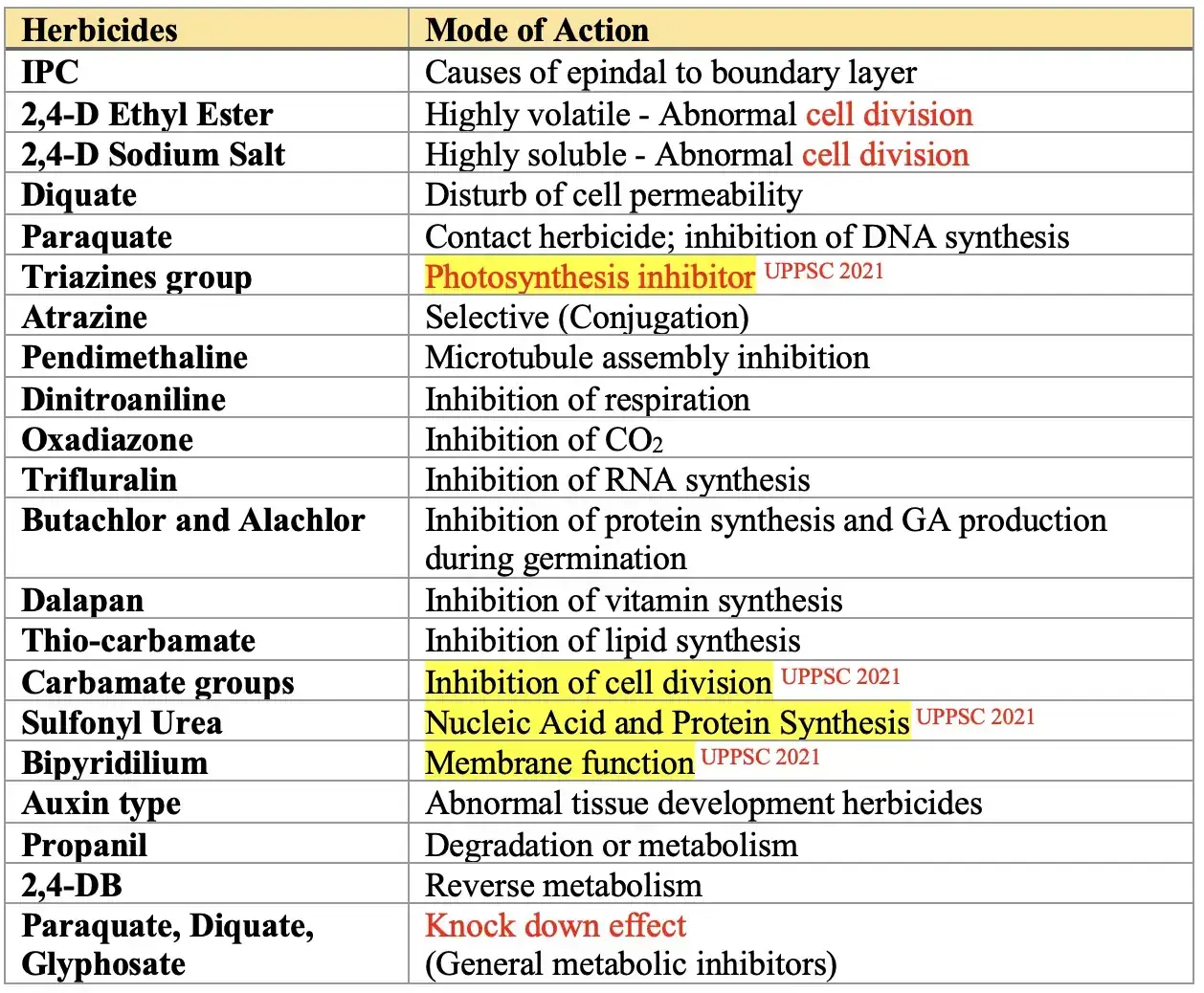 Herbicide absorption and translocation pathways through foliage and roots