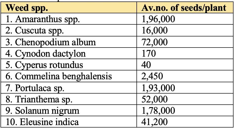 Small weed seeds compared across major species showing prolific seed production